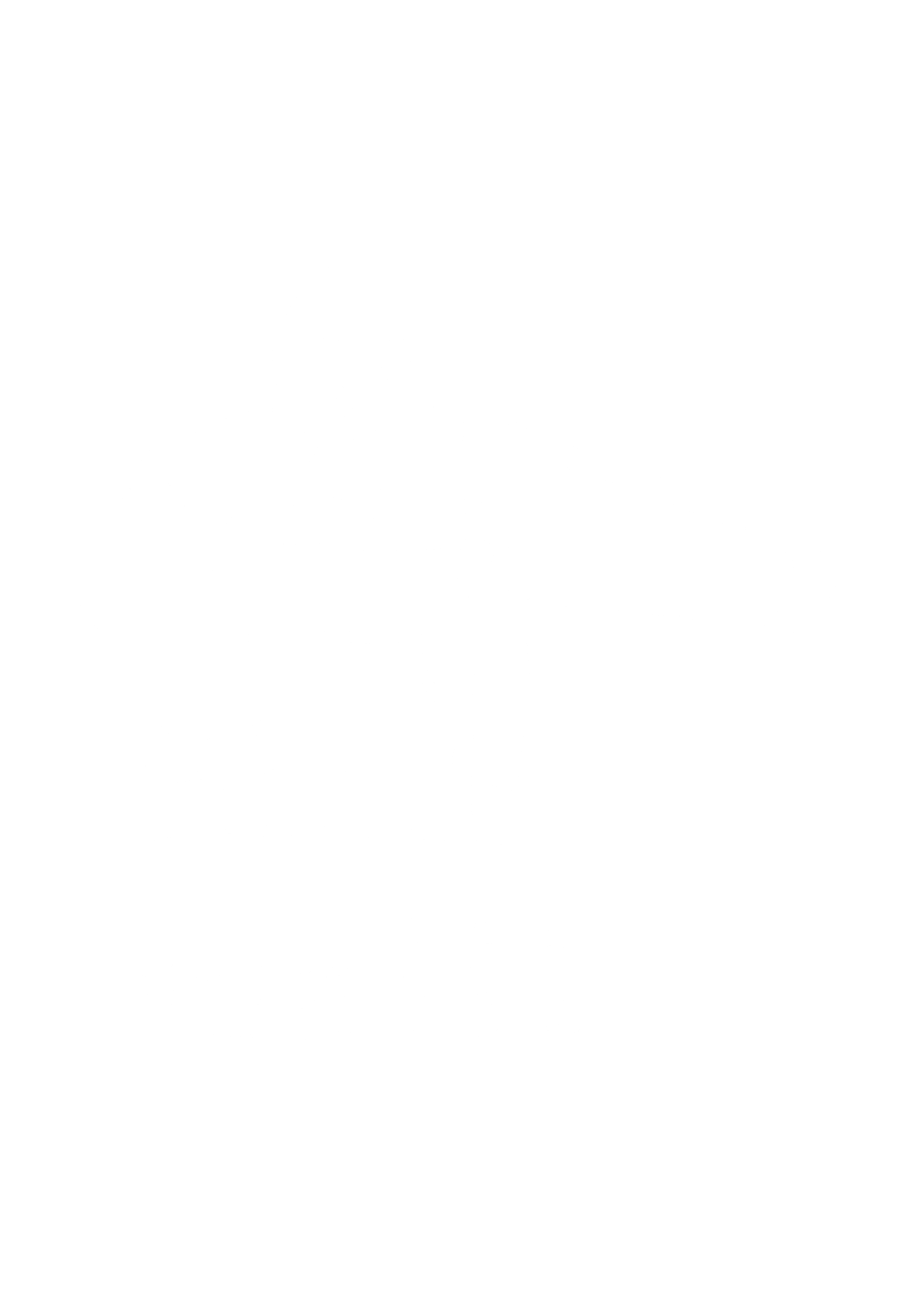 Lithe Music, Lithe merch dimensions of hoodies.